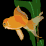 the aquarium