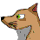 Eagle and Fox DVD
