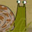 Floyd The Snail
