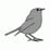 a BIRD in the house