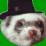 Ferret Hunter