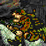 Metal Slug: Combat Part 1