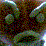 clay pot head