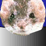 War of the Weasels T1