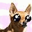 Daily2oon07052005