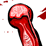 Slashed