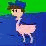 Flamingo Kid