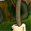 Forest Fight 2
