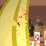 Bananabeard 3 (Fake)