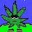 Herbs Words : The Spliff