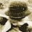 -Philippines 1945-