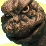 Go Godzilla Go! Collab