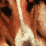 Daily2oon08292005