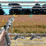 -Shooting Range-