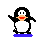 Antarctic Adventure