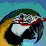 Bird Battles: ROTD