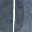 Daily2oon10012005
