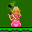 Princess Peachs Adventure