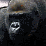 DailyApe feeding frenzy