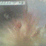 Domestic Disturbances 3
