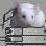 My Friend the Mouse