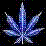 X Marks The Pot