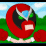 Numastar Runner