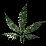 Herbs Words:Weed Tutorial