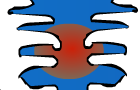 The Goatse Collab