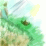 Ortus(Part II)