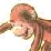 kill curious george