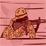 Devil in Iraq