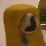 GoldenClocks Child (clay)