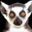 The Singing Lemurs