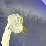 Ostrich Jump 2