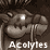Drakojan Skies Acolytes
