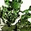 SOLID SNAKE vs many guys