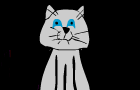 Kitten is Angry