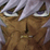YGO TCG For Bakas: Part I