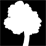 "A tree"