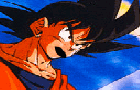 DBZ in a Nutshell