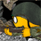 World War 2: P2