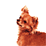 Doggy