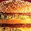 Barbequebeefburger XI