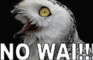 All Your Owls