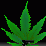 Smoke Weed Everday