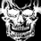 Avenged Sevenfold Trivia