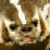 Fat Badger: Best of May06