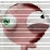Rarobot