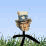 Uncle Sam